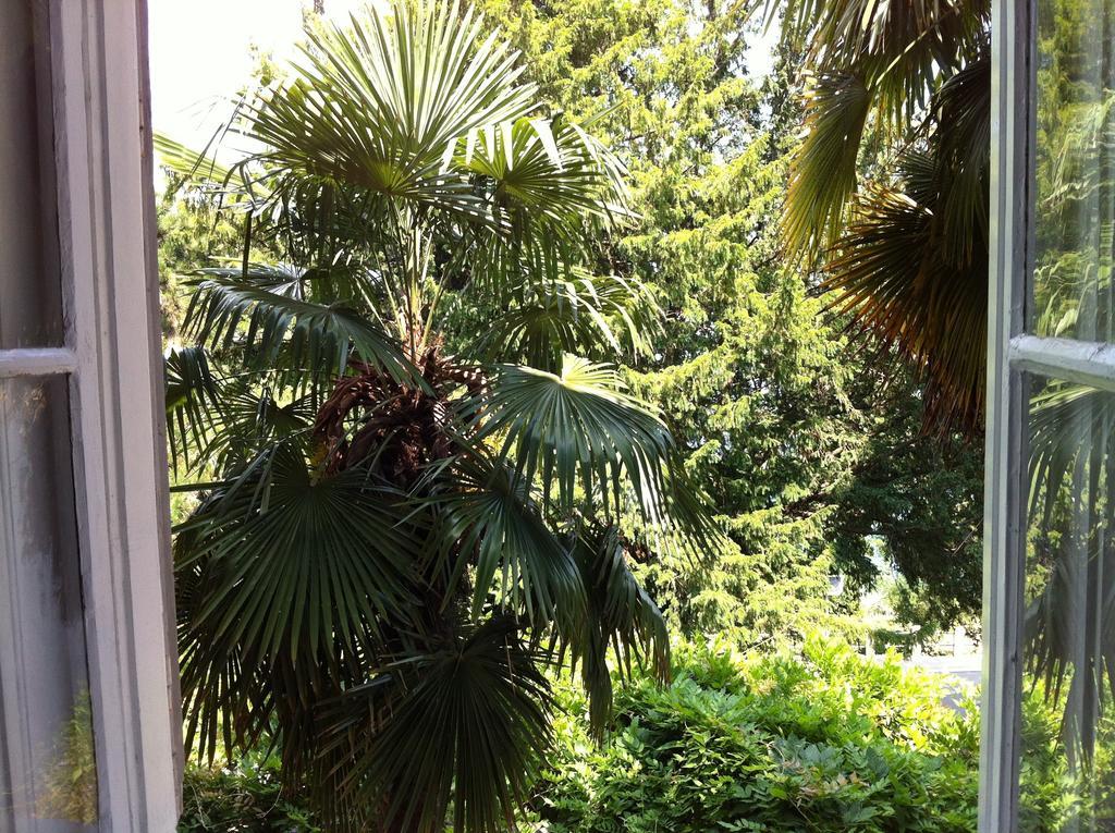 Villa Rose Apartment 洛夫兰 客房 照片